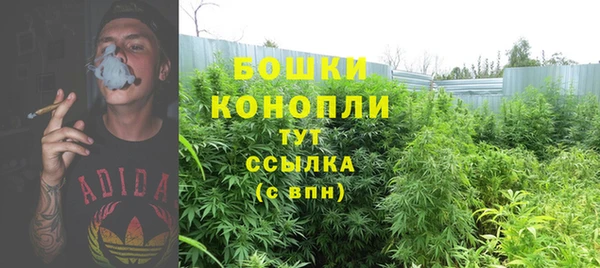 спайс Волоколамск
