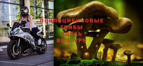спайс Волоколамск
